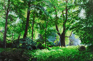 landschap schilderij 17 bosgezicht
